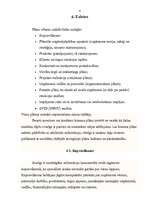 Referāts 'Biznesa plāns, tā būtība un saturs', 7.