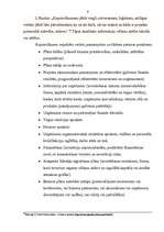 Referāts 'Biznesa plāns, tā būtība un saturs', 8.