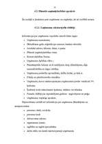 Referāts 'Biznesa plāns, tā būtība un saturs', 9.