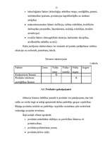 Referāts 'Biznesa plāns, tā būtība un saturs', 11.