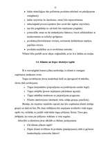 Referāts 'Biznesa plāns, tā būtība un saturs', 12.