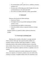 Referāts 'Biznesa plāns, tā būtība un saturs', 13.