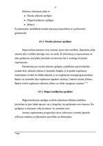 Referāts 'Biznesa plāns, tā būtība un saturs', 16.