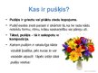 Prezentācija 'Floristiskas kompozīcijas - pušķi', 2.