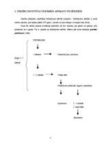 Referāts 'Saistību piespiedu izpildīšana brīdinājuma kārtībā', 4.