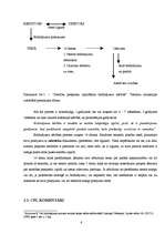 Referāts 'Saistību piespiedu izpildīšana brīdinājuma kārtībā', 6.