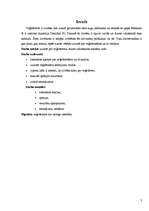 Referāts 'Veģetārisms', 3.