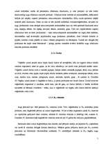 Referāts 'Veģetārisms', 7.