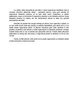 Konspekts 'Organizācijas kā tīkla skaidrojums', 2.