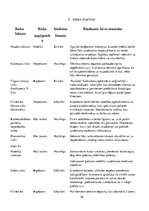 Biznesa plāns 'Viesu nams SIA "Mežvēji"', 19.