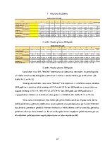 Biznesa plāns 'Viesu nams SIA "Mežvēji"', 27.