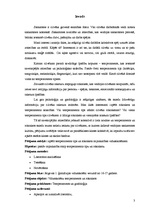 Referāts 'Temperamenta un rokraksta mijsakarības', 2.