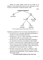 Referāts 'Temperamenta un rokraksta mijsakarības', 8.