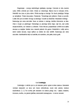 Referāts 'Temperamenta un rokraksta mijsakarības', 13.