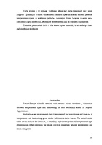 Referāts 'Temperamenta un rokraksta mijsakarības', 29.