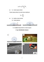 Konspekts 'Superhidrofobas nano virsmas, slapēšanas parādība', 4.