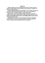 Referāts 'Senā Ēģipte', 22.