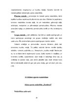 Prakses atskaite 'Bērnu kustību attīstība ar rotaļu palīdzību', 20.