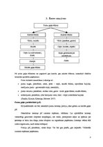 Konspekts 'Putnu gaļa', 8.