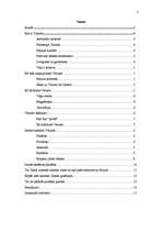 Referāts 'Visums', 2.