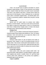 Referāts 'Visums', 4.