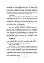 Referāts 'Visums', 5.