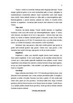 Referāts 'Visums', 6.