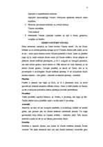 Referāts 'Visums', 8.