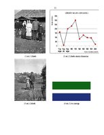 Referāts 'Lībiešu valoda kā viena no izmirstošajām valodām', 18.