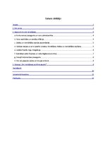 Referāts 'Eiro vienotā valūta un ieguvumi, ko tā sniedz', 1.