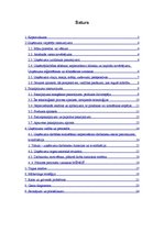 Biznesa plāns 'Biznesa plāns', 2.