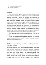 Biznesa plāns 'Biznesa plāns', 8.