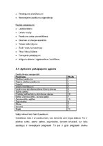 Biznesa plāns 'Biznesa plāns', 13.