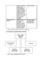 Biznesa plāns 'Biznesa plāns', 15.