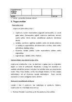 Biznesa plāns 'Biznesa plāns', 17.