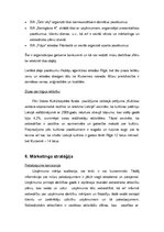 Biznesa plāns 'Biznesa plāns', 18.