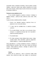 Biznesa plāns 'Biznesa plāns', 19.