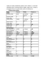 Biznesa plāns 'Biznesa plāns', 20.