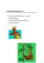 Referāts 'Indonēzija', 12.