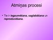 Prezentācija 'Atmiņa un domāšana', 7.