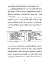 Diplomdarbs 'Biznesa inkubatora loma organizācijas attīstības veicināšanā', 13.