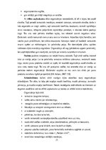 Diplomdarbs 'Biznesa inkubatora loma organizācijas attīstības veicināšanā', 20.