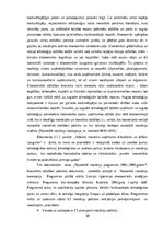 Diplomdarbs 'Biznesa inkubatora loma organizācijas attīstības veicināšanā', 29.