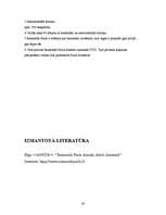 Referāts 'Raimonds Pauls', 19.