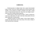 Referāts 'P.Golca, A.Niedras, P.Bermonta grupējuma izveidošanās un pretvalstiskā darbība', 19.