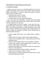 Referāts 'Iekšējās komunikācijas nozīme uzņēmuma "TV 24" darbinieku savstarpējo attiecību ', 13.