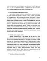 Prakses atskaite 'Prakses atskaite uzņēmumā SIA "BMS"', 15.