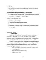 Referāts 'Augsnes mikroelementi', 16.