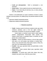 Konspekts 'Poliamīdi', 5.