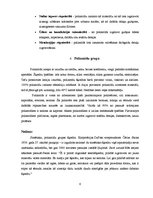 Konspekts 'Poliamīdi', 6.